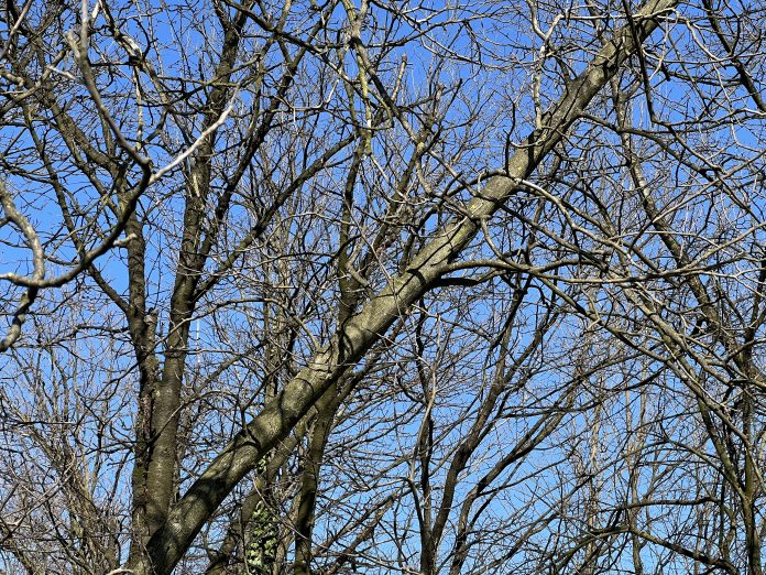 Danas hladno i bez padavina