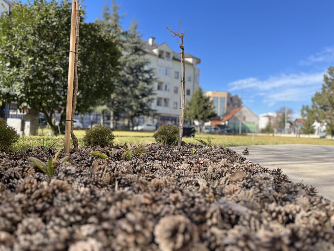 VRIJEME DANAS toplo i sunčano uz moguće povremeno naoblačenje